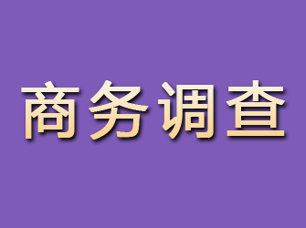 庐江商务调查